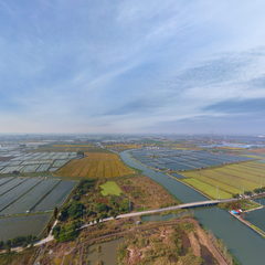 嘉善姚庄镇地块（2018年11月）